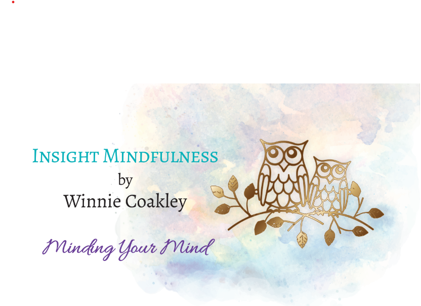 Insightmindfulness.ie – Mind Your Mind